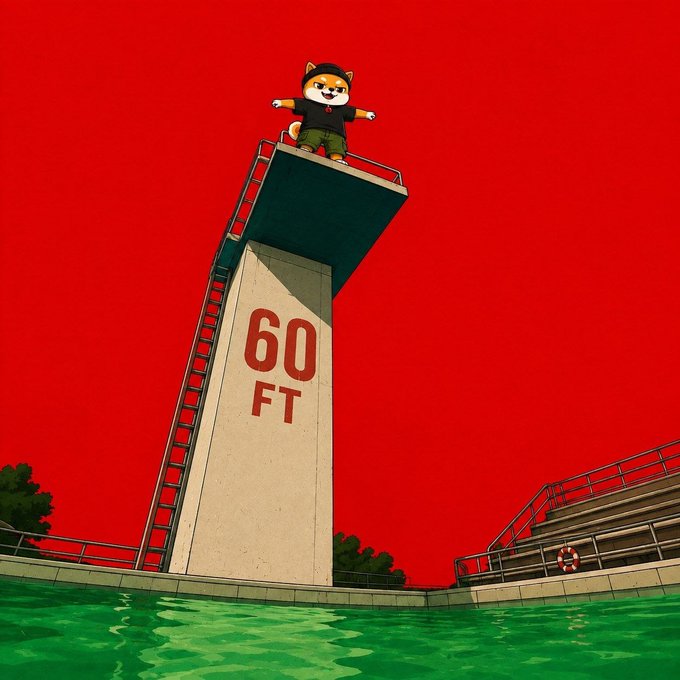 Baby Shib on a 60ft diving board