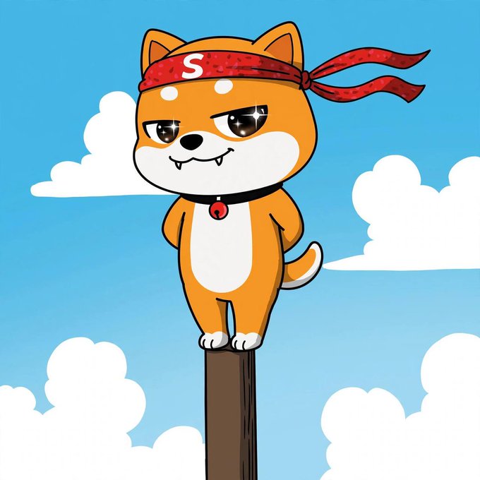Baby Shib standing tall